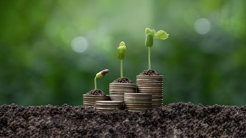 The seedlings are growing on a pile of coins that located on the soil. Concept of business growthprofit, Green energy, eco energy, development and success.